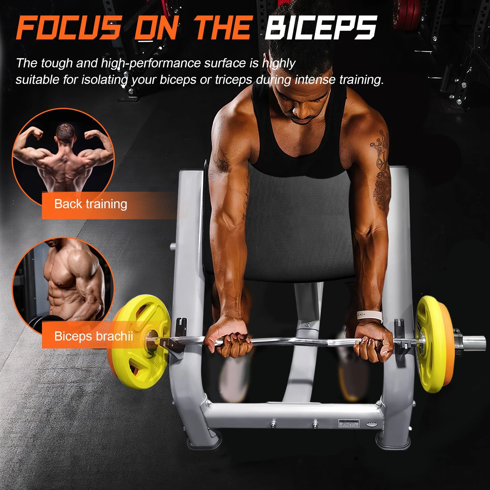 Seated Isolated Barbell Dumbbell Biceps Station with Adjustable Seat Fitness Equipment for Home Gym Strength Training