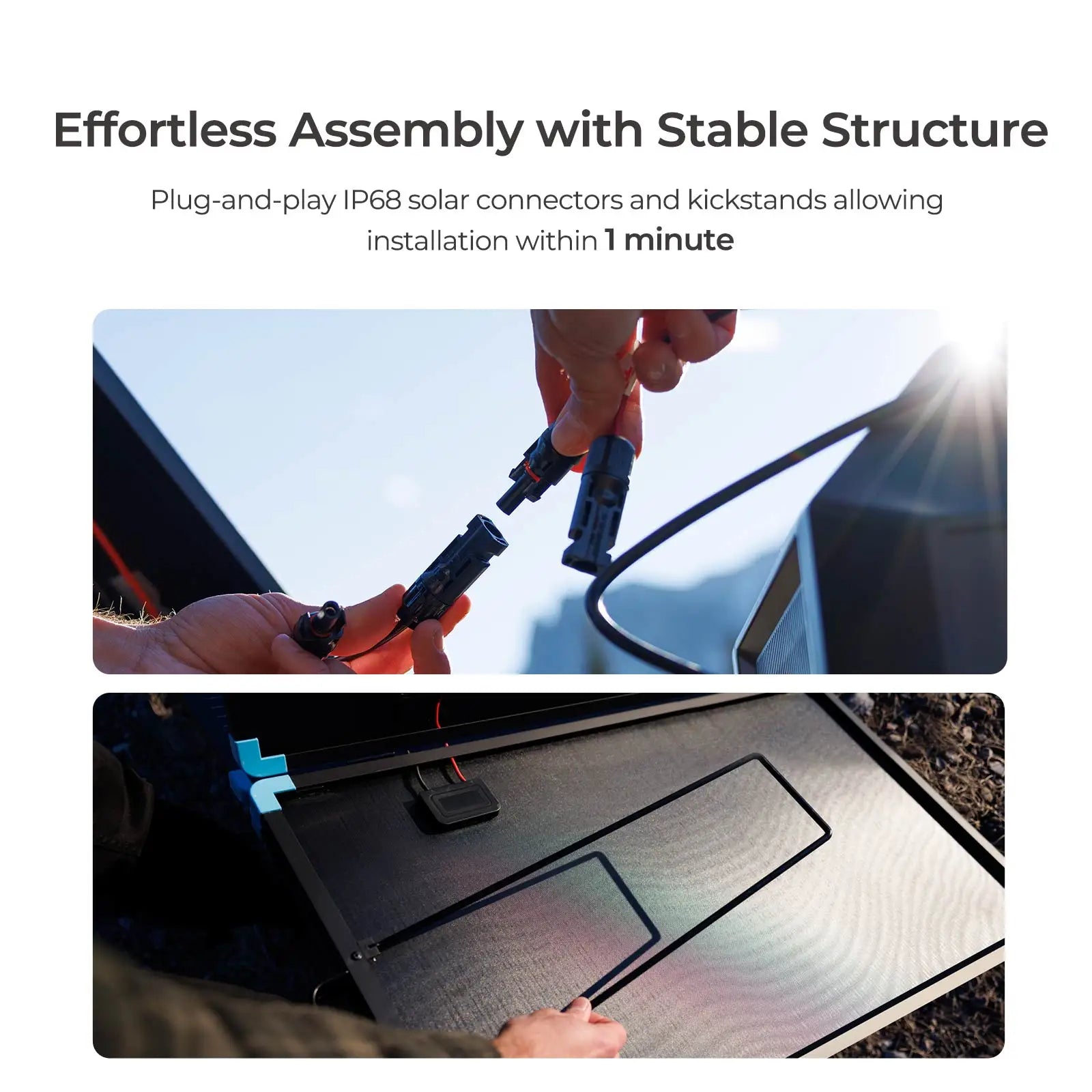 Renogy 220W Foldable Solar Panel Suitcase, Portable 23% High-Efficiency, IP67 Waterproof for RV Camping Power Station